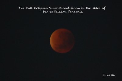 Super Blood Moon at Full Eclipse by Hasin